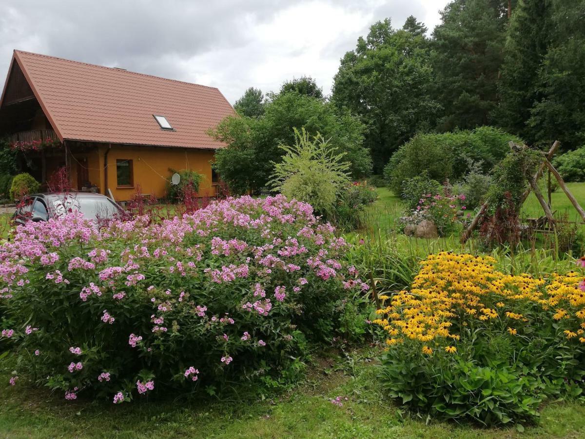 Agrojelonki Agroturystyka Gietrzwałd 外观 照片
