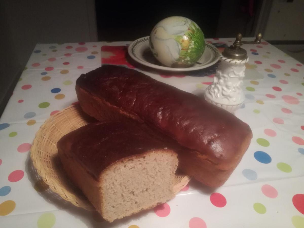 Agrojelonki Agroturystyka Gietrzwałd 外观 照片